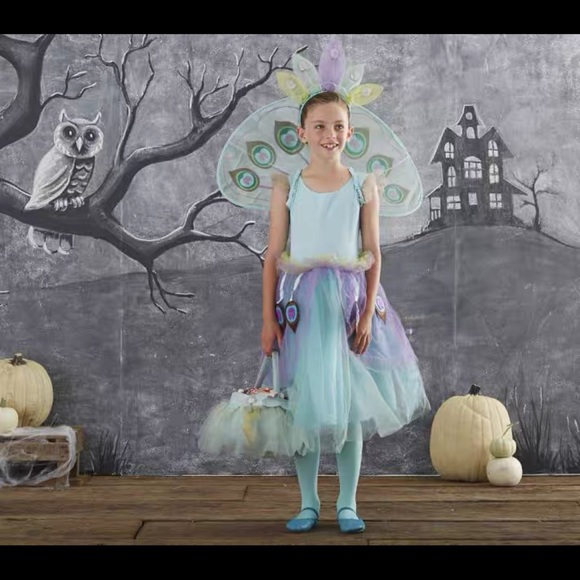 Pottery Barn Kids Other - Pottery barn kids peacock costume